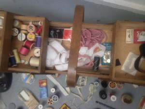 photo-0054_13SB: M. Hunter-Gray, close-ups of Looking for Mother, 2009